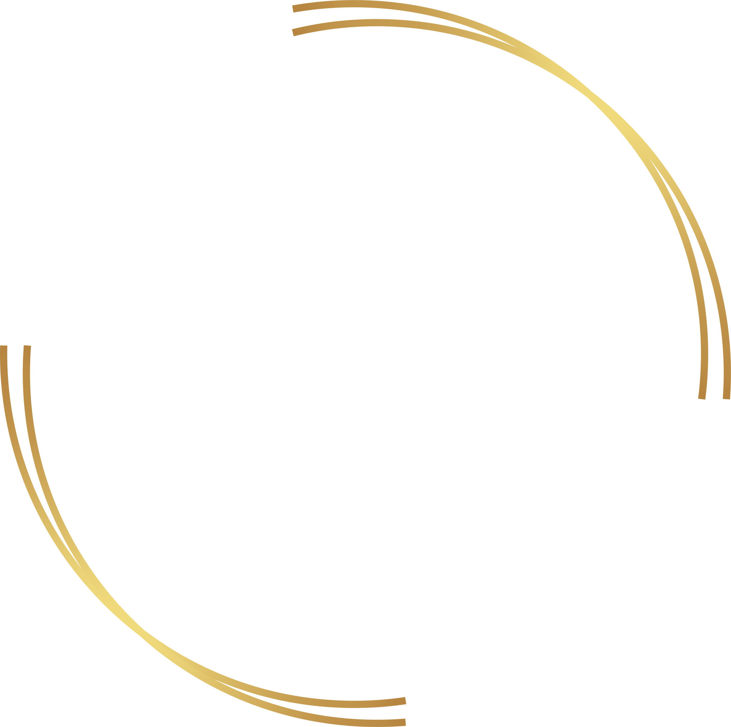 Gold Luxury Logo Frame